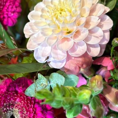 Nieuwsupdate  3 oktober - 2025