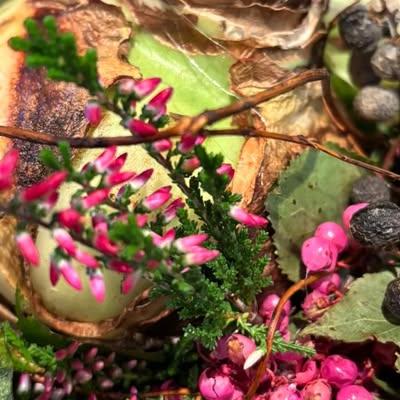 Nieuwsupdate 17 oktober - 2025