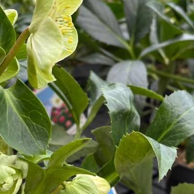 Nieuwsupdate 17 oktober - 2025