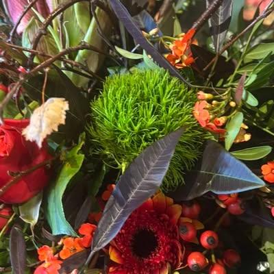 Nieuwsupdate 22 november - 2025