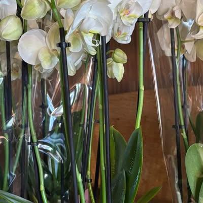 Nieuwsupdate 20 januari - 2026