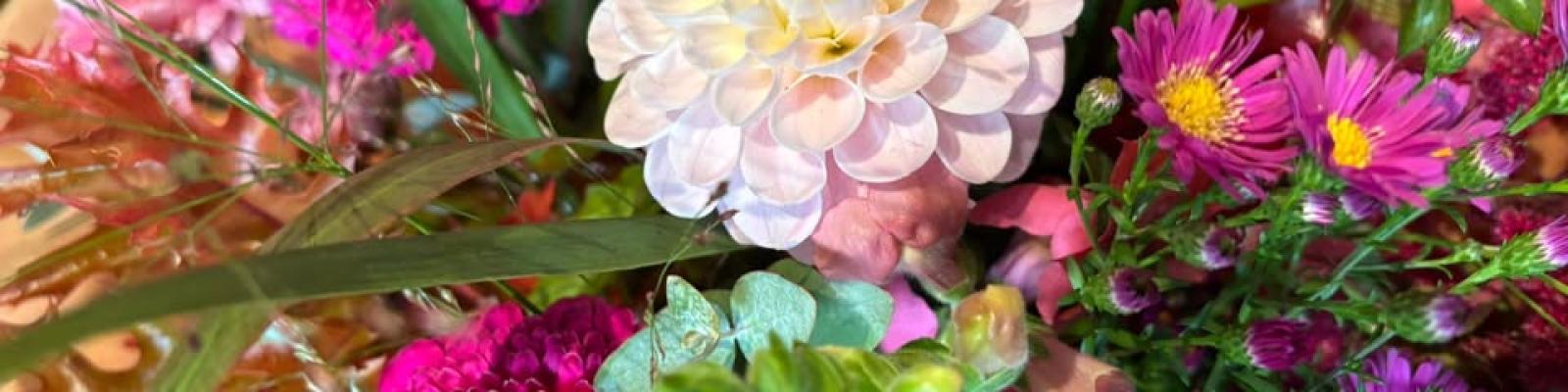 Nieuwsupdate  3 oktober - 2025