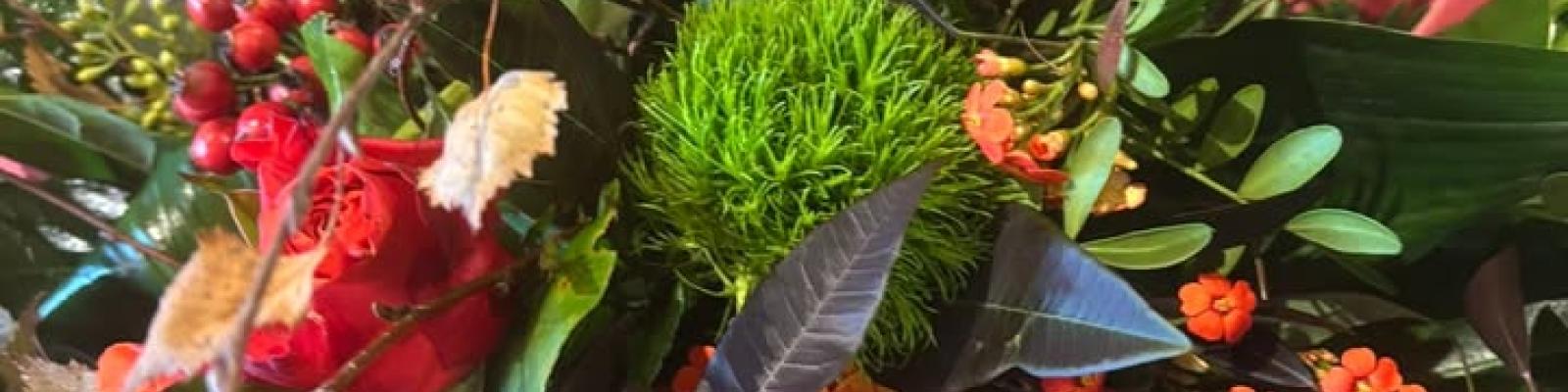 Nieuwsupdate 22 november - 2025