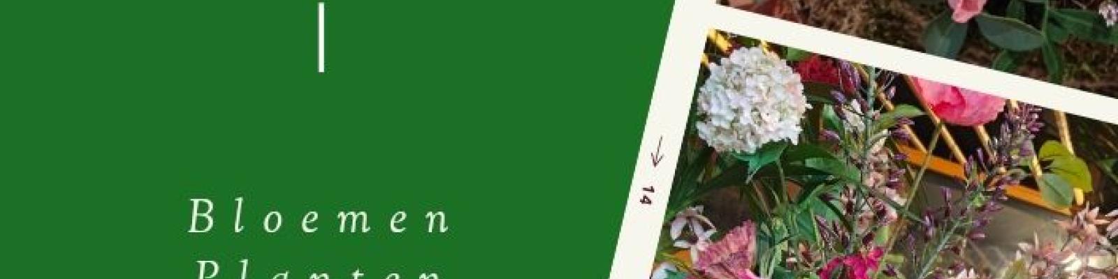 Nieuwsupdate 26 februari - 2026